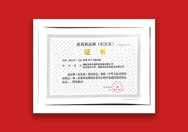 球迷汇直播 - 高清流畅的体育直播平台