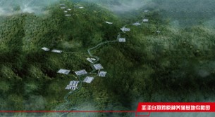 自主育种